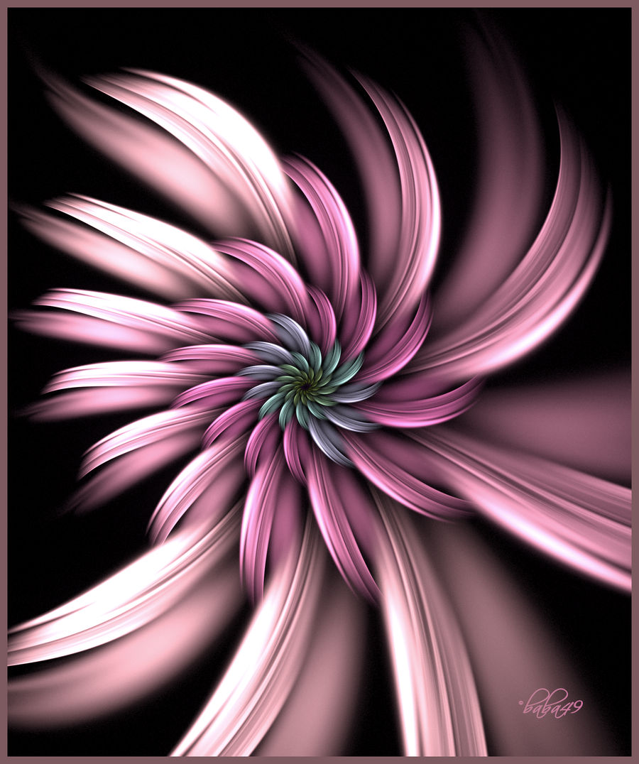 Flower In Pink by baba49 on DeviantArt