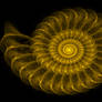 Golden Nautilus