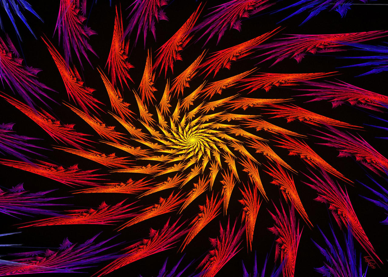 Hyperbolic Firework