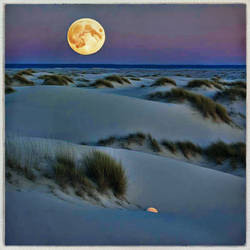 Fullmoon over the dunes
