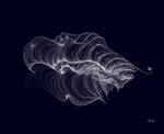 Fractal Jellyfish by baba49