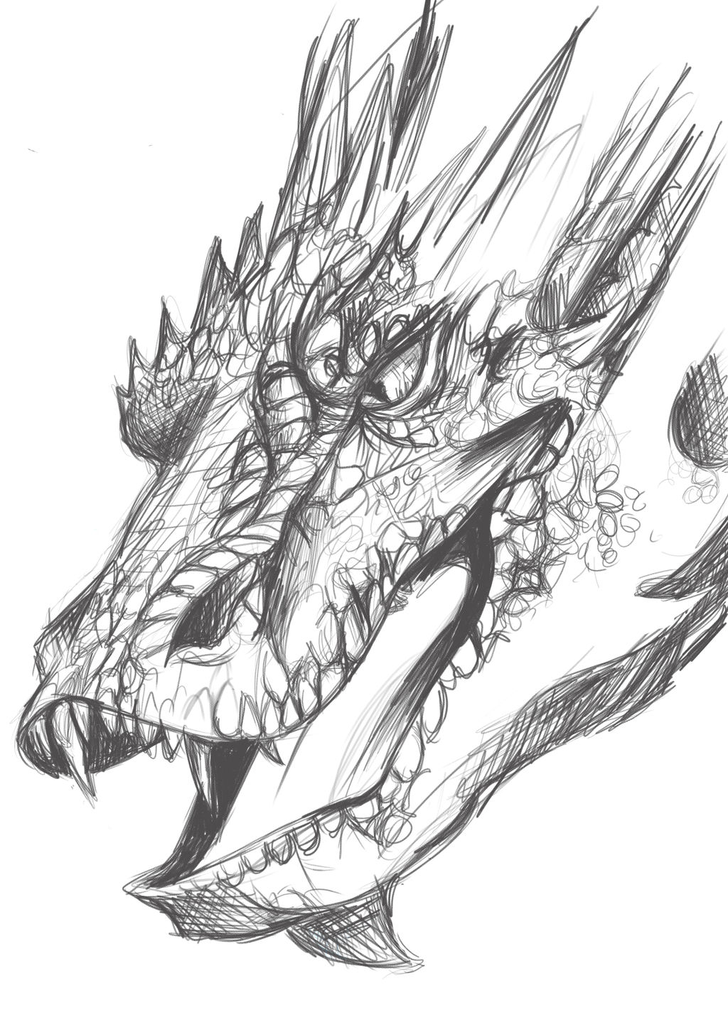 Smaug WIP