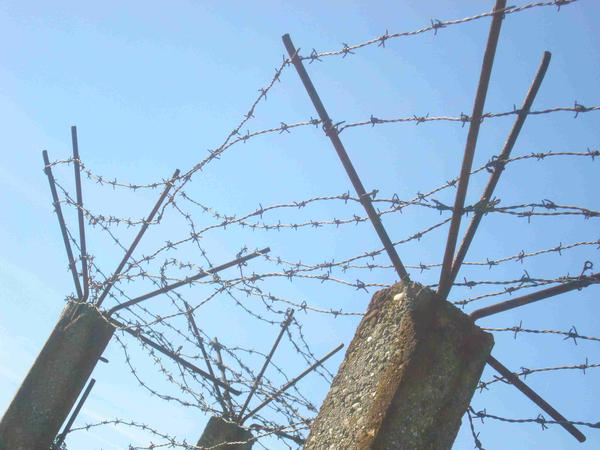 BARB WIRE II ... by Princessjilleke on DeviantArt