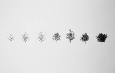 Minimal trees