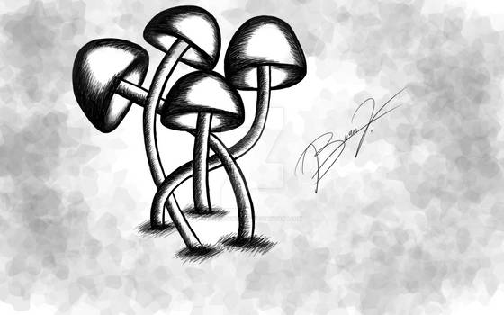 Mushroom Sketch