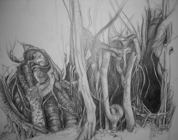 Study of a Banyan Tree