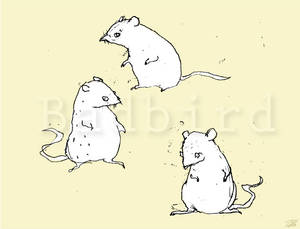 three blind mice