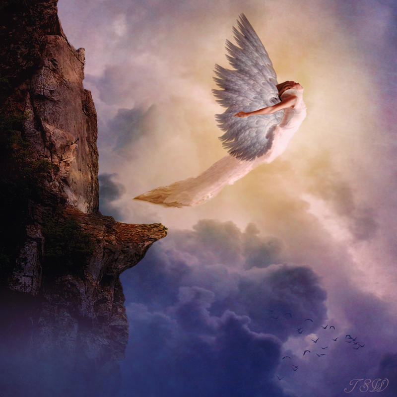 Learning To Fly by TSWright