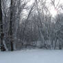 Wisconsin Winter 1