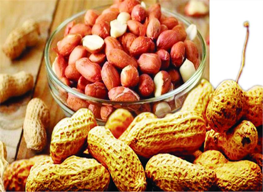Peanut Is Beneficial For Heart Patients By Deshbandhunews On DeviantArt peanut-is-beneficial-for-heart-patients-by-deshbandhunews-on-deviantart