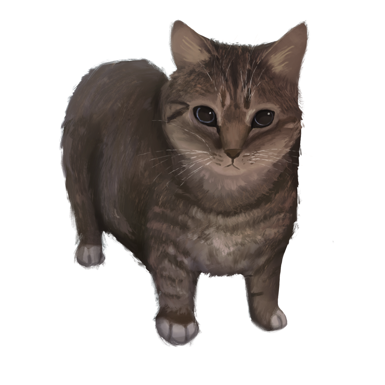 Oiia Image OIIA OIIA by B3anChillin on DeviantArt