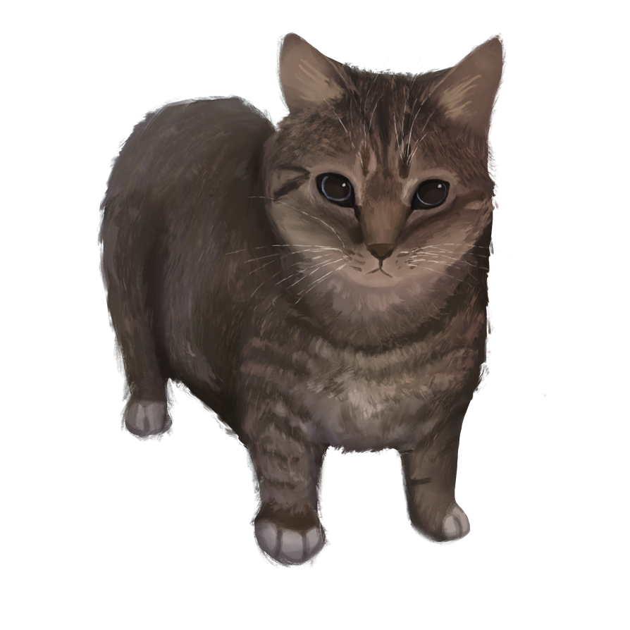 Oiia Image OIIA OIIA by B3anChillin on DeviantArt