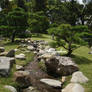 Japanese garden 1