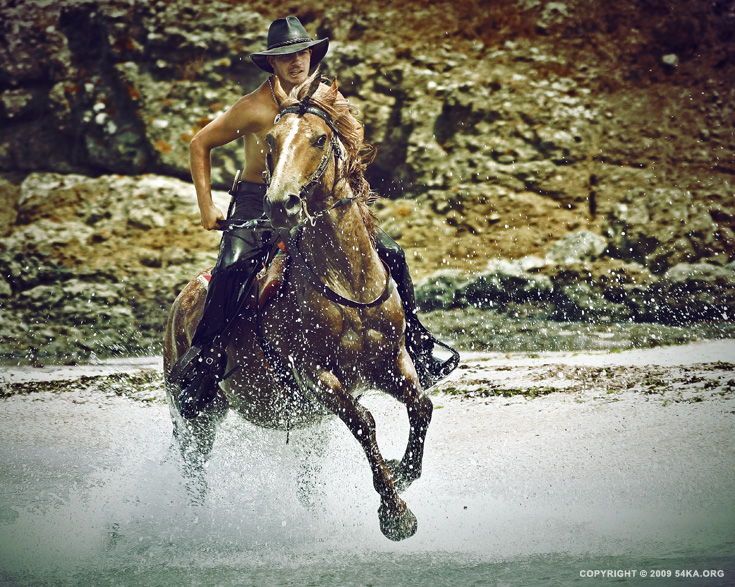 Water Horse Rider I