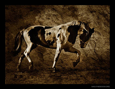 Horses II