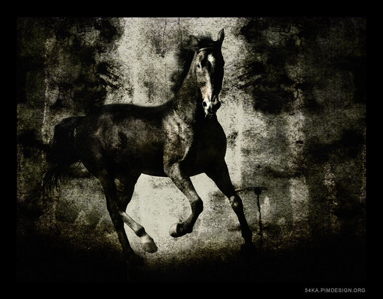 Horses III