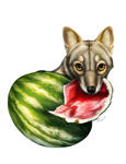 Symbiosis 3 (Jackal and Watermelon)