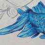 Blue Fish