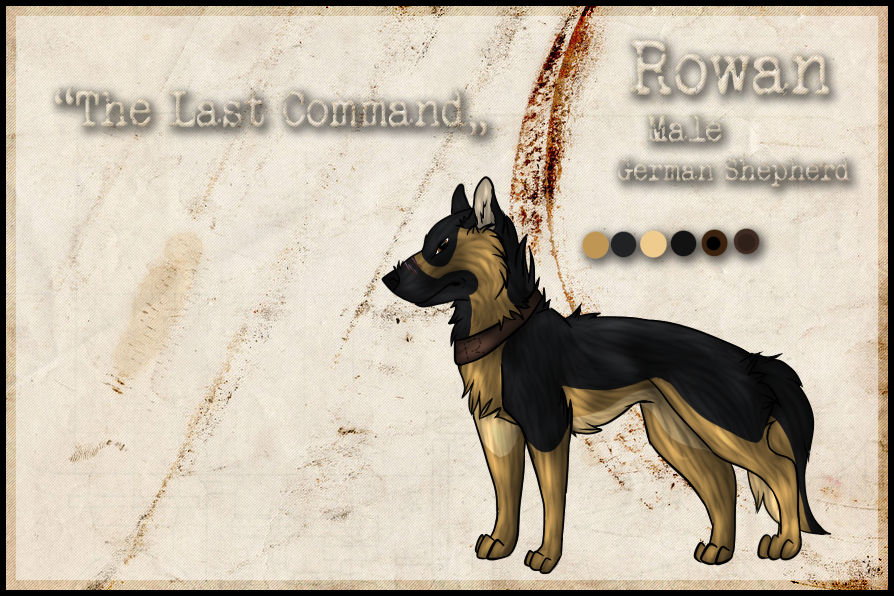 Rowan - Character Sheet by The-Samara on DeviantArt