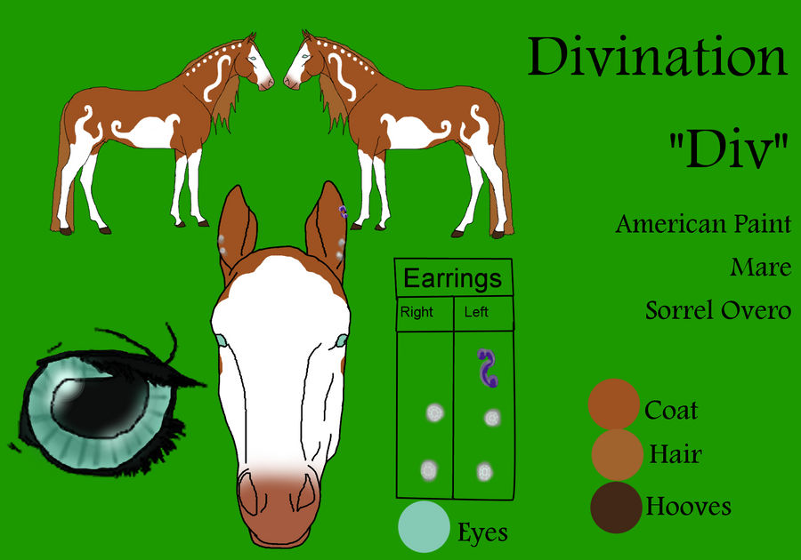 Divination Ref Sheet by Sunidelite on DeviantArt