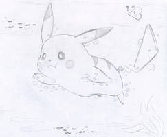 Commish: Swim-a-chu