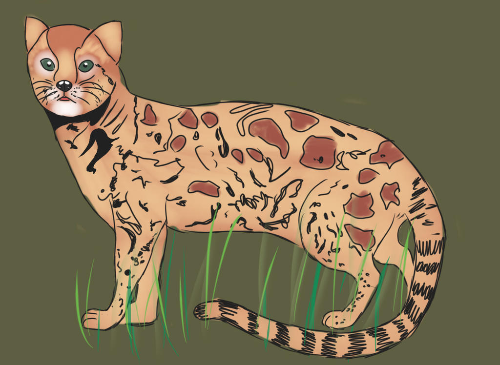 Proailurus by homemadetorrance on DeviantArt