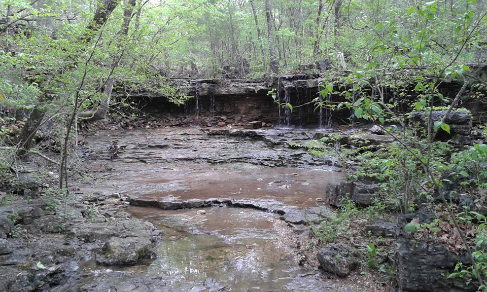 Backyard River