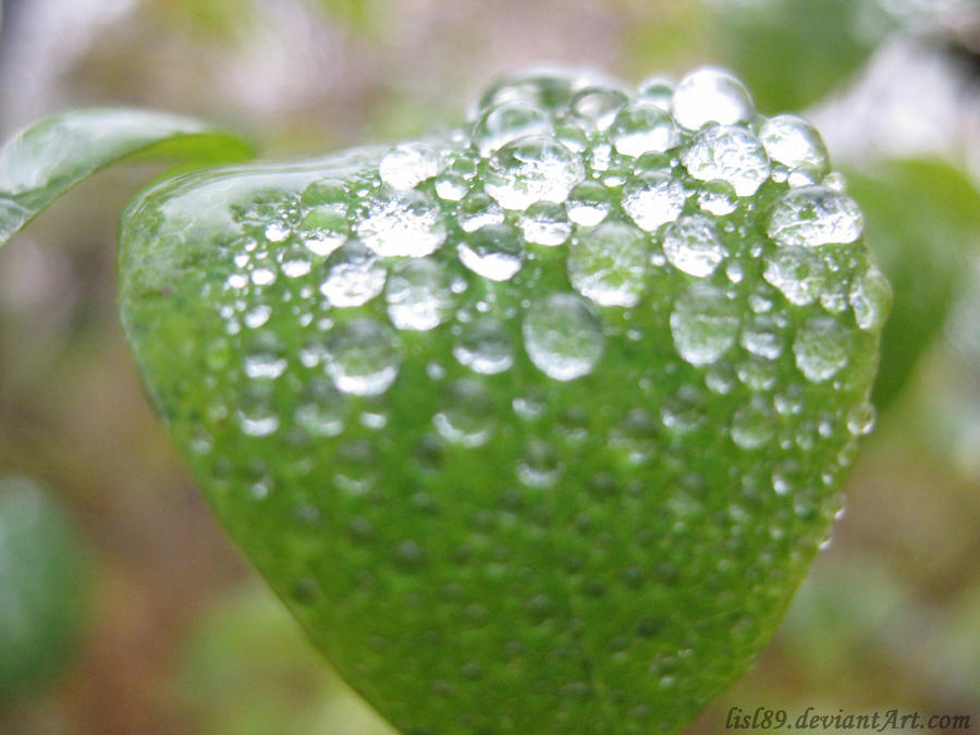 Water drops