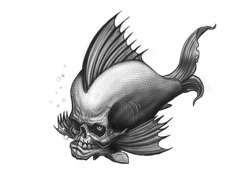 Skull Fish Sketch