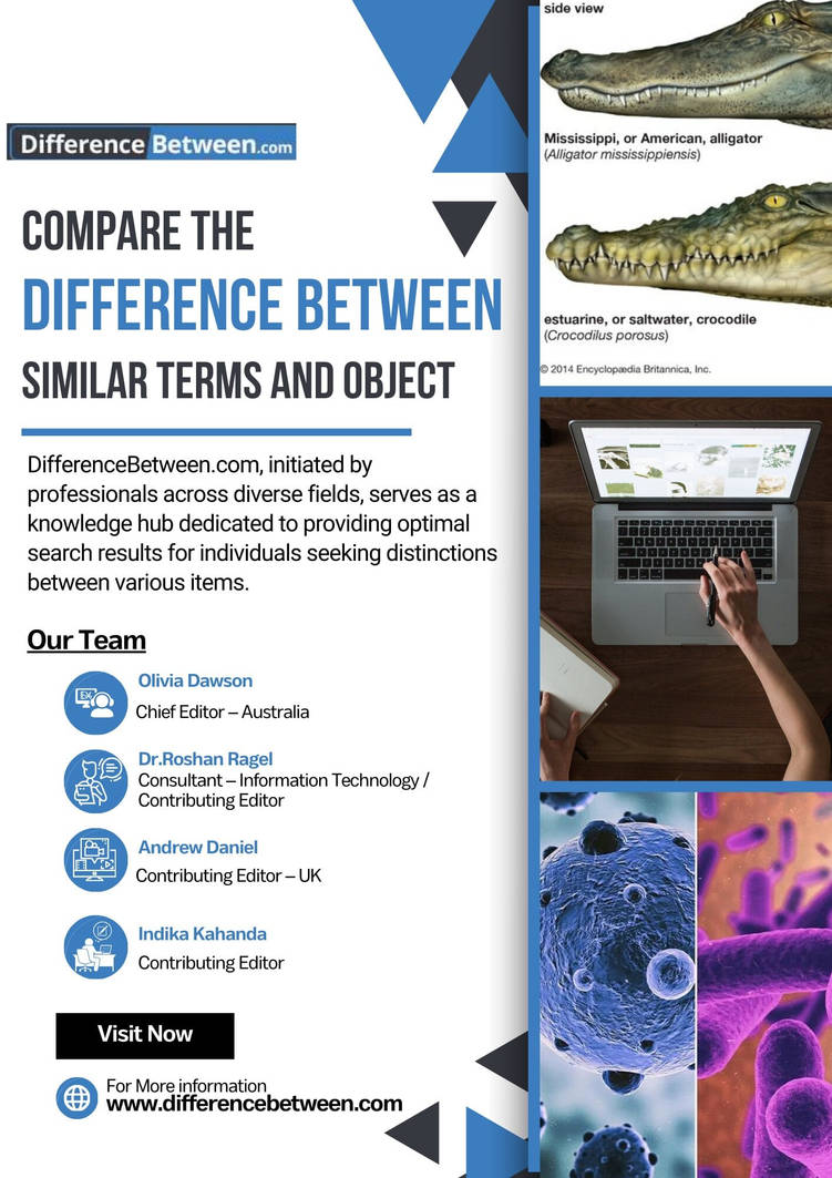 Two Similar With Differences Difference Between Two Similar Terms by Julielaboy on DeviantArt