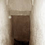 The Blair Witch Project