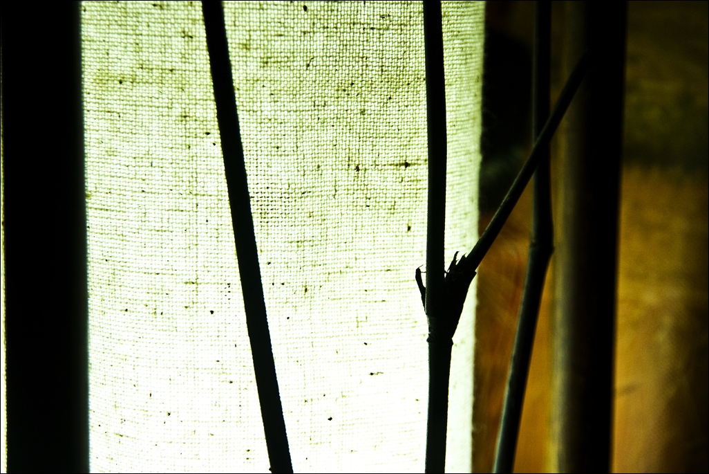 The Lamp