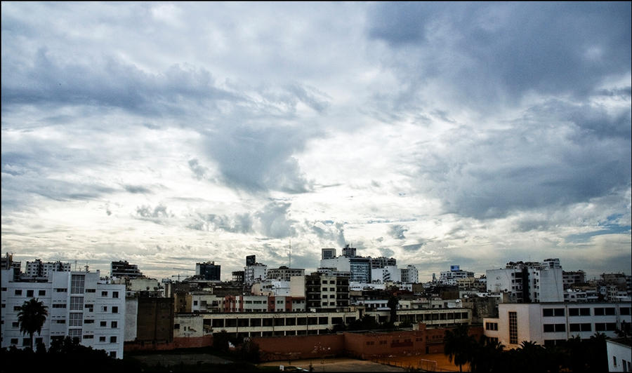 The View
