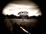theonlytree by wibiyana