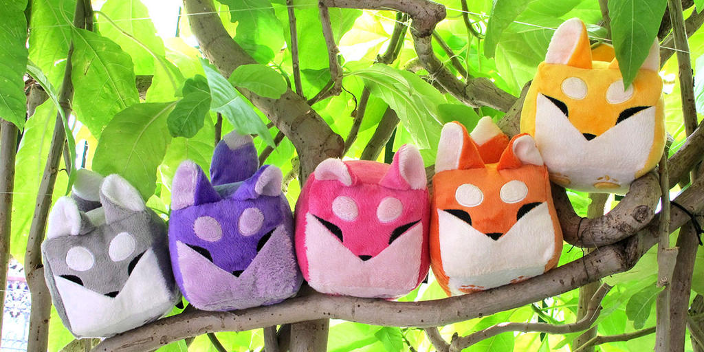 Boxfoxes on a Branch