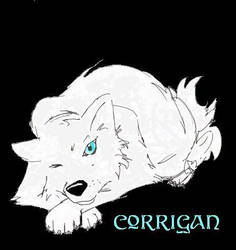 Corriagan2