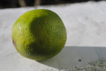 Lime