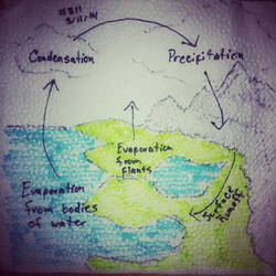 Napkin Art 311 - Water Cycle Review