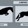 Jumping Style Guide
