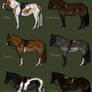 CLOSED - Field Hunter Sale
