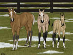 Christmas Foals by cobra-farms