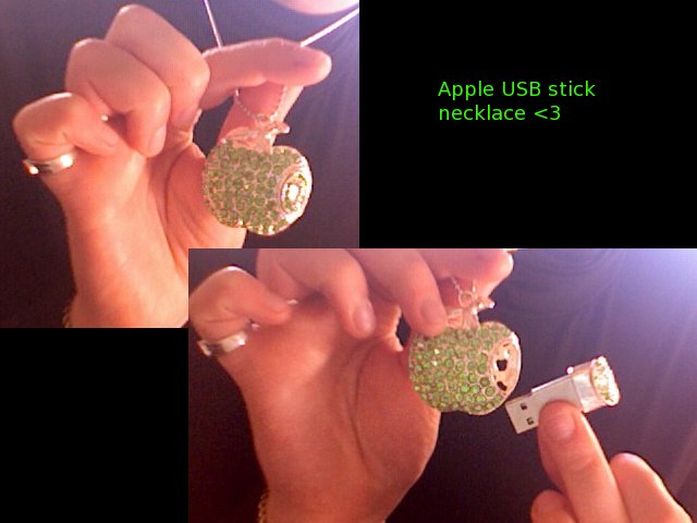 apple usb necklace