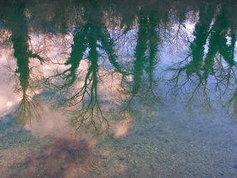 Colourful reflection