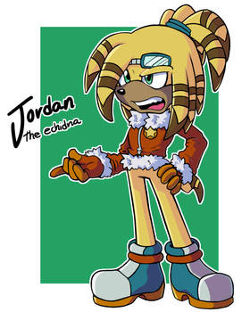 Jordan the Echidna