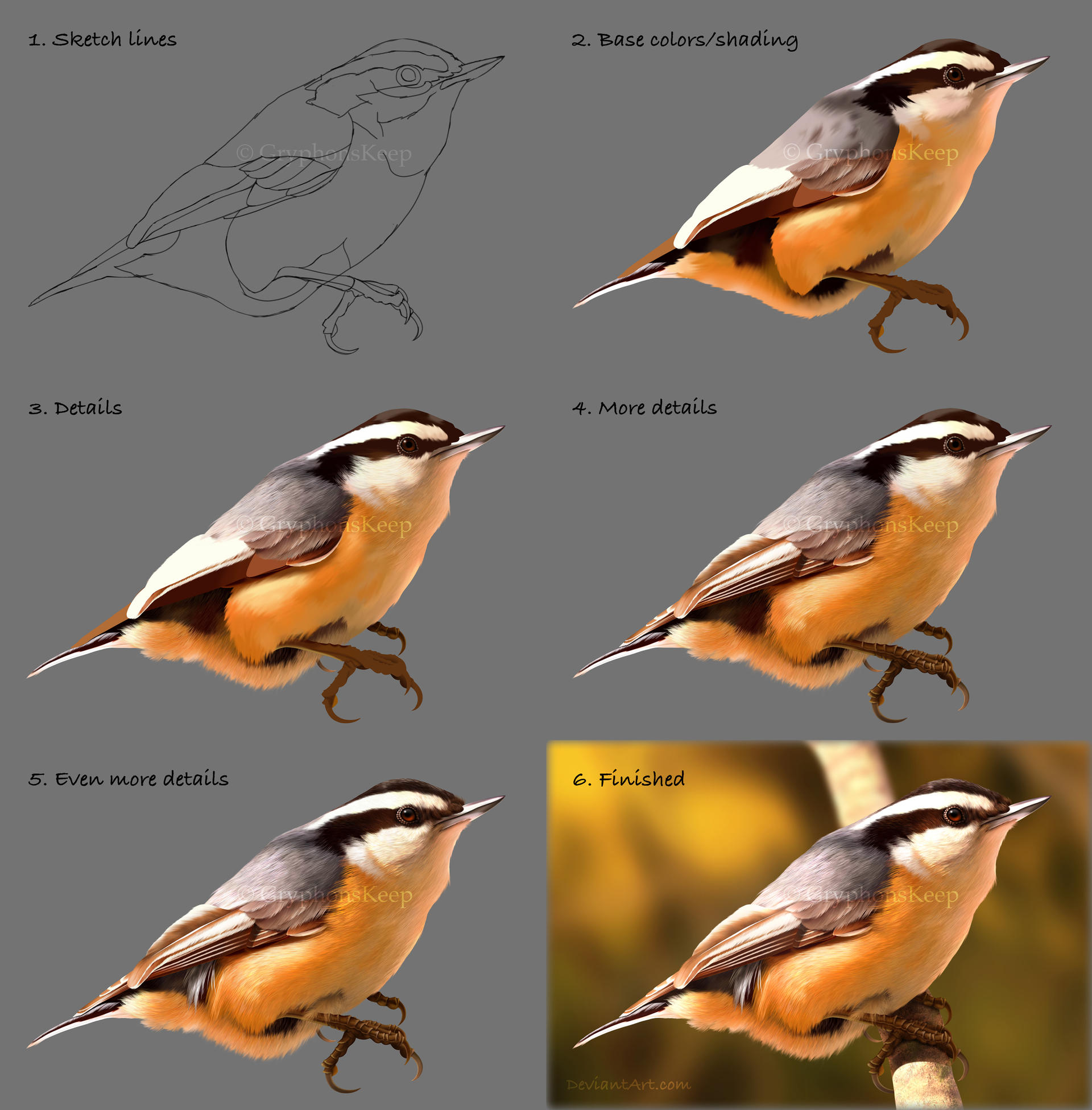 Perched Drawing Evening Perch - Drawing Process by GryphonsKeep on DeviantArt