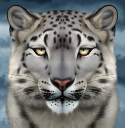 Snow Leopard by GryphonsKeep