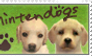 Nintendogs Stamp