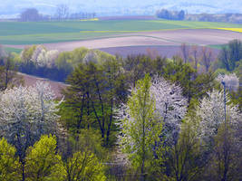 Spring Colours