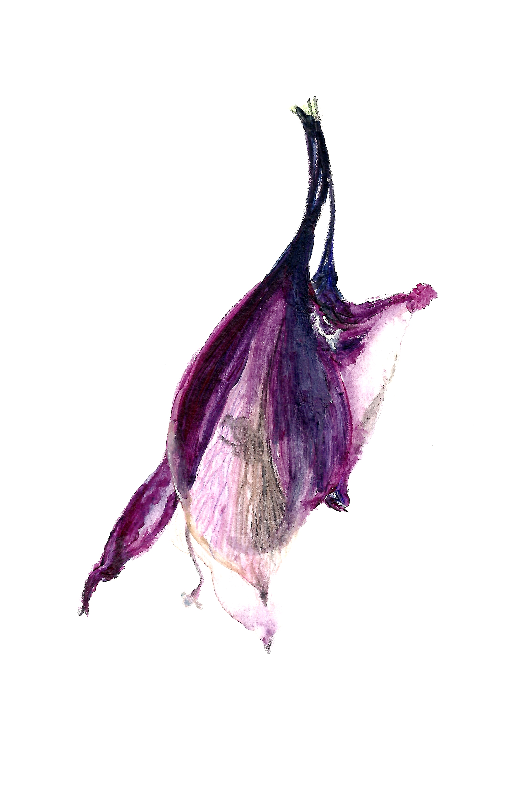 Death of the spring by imX-FandS-Dydy on DeviantArt