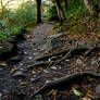 Walk with me